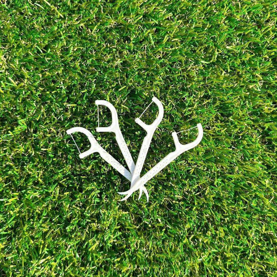 Eco Floss Picks