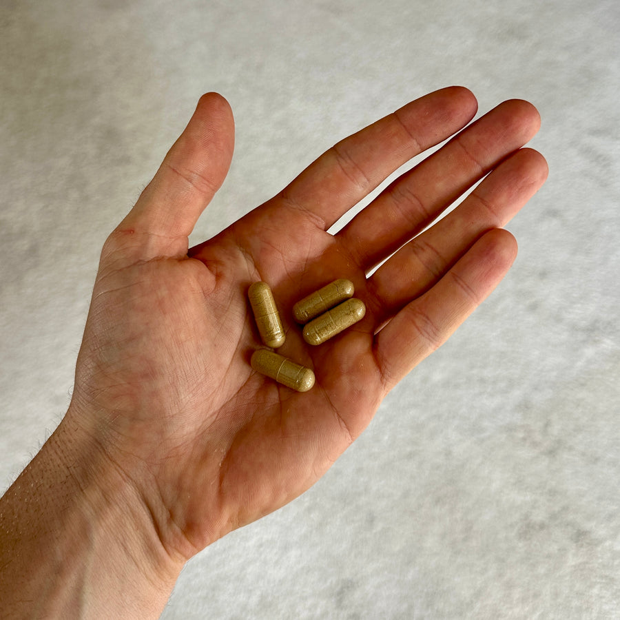 Beef liver capsules held in a hand